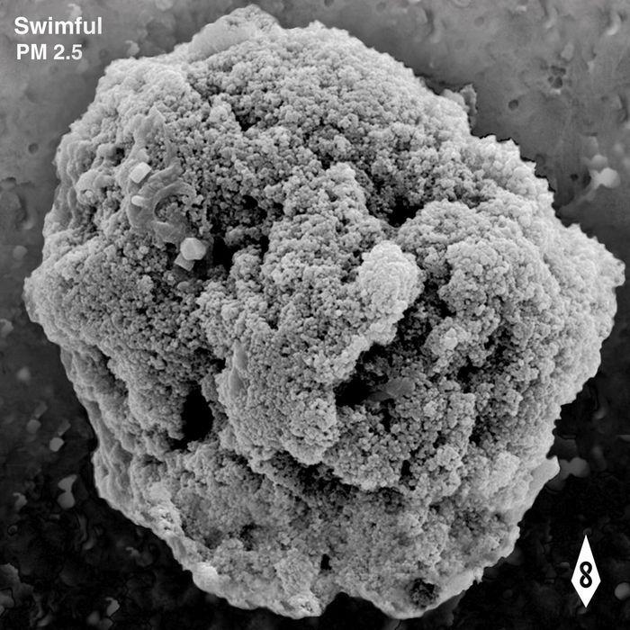 Shanghai Swimful's (青浦 Remake)