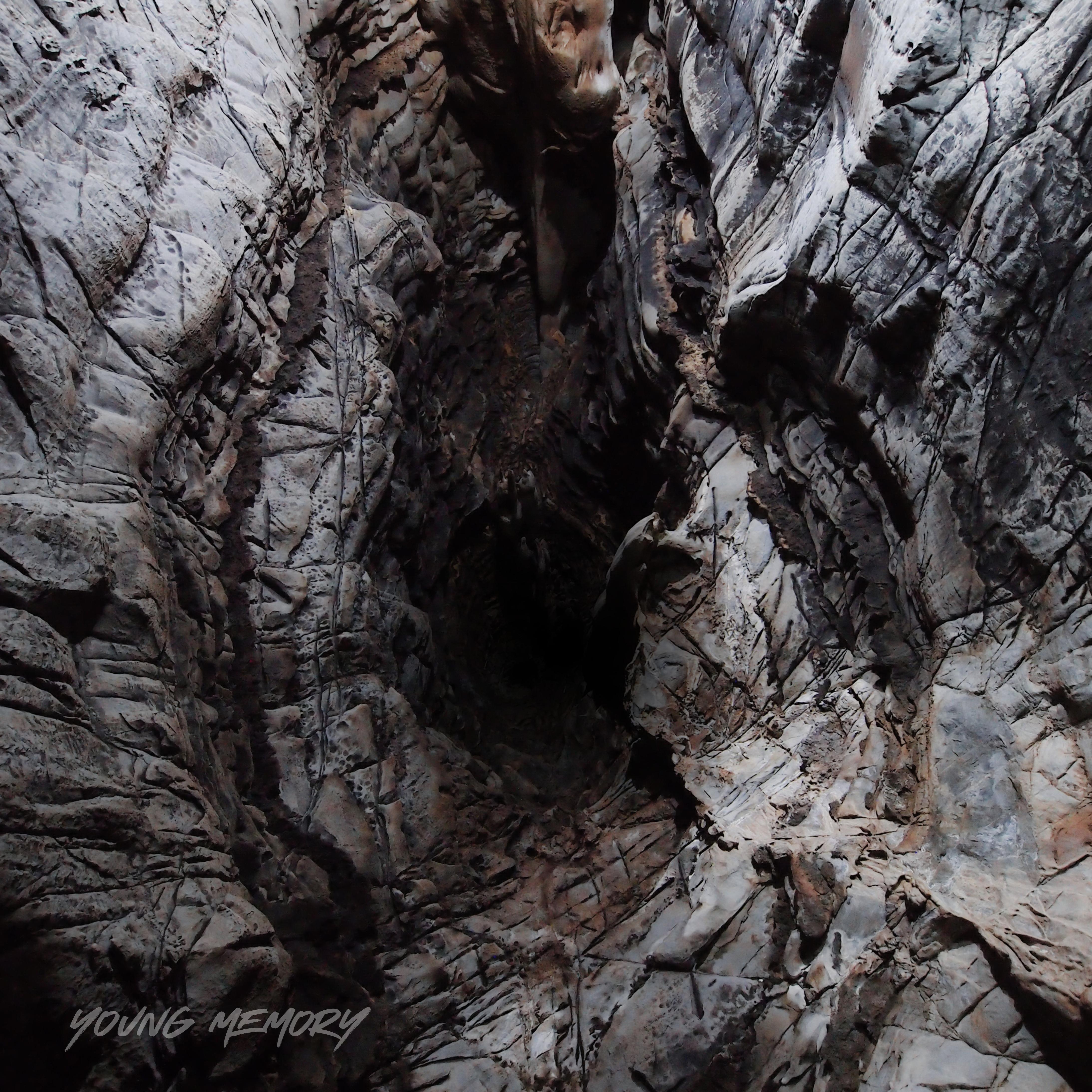 Down the Rabbit Hole