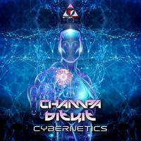 Cybernetics