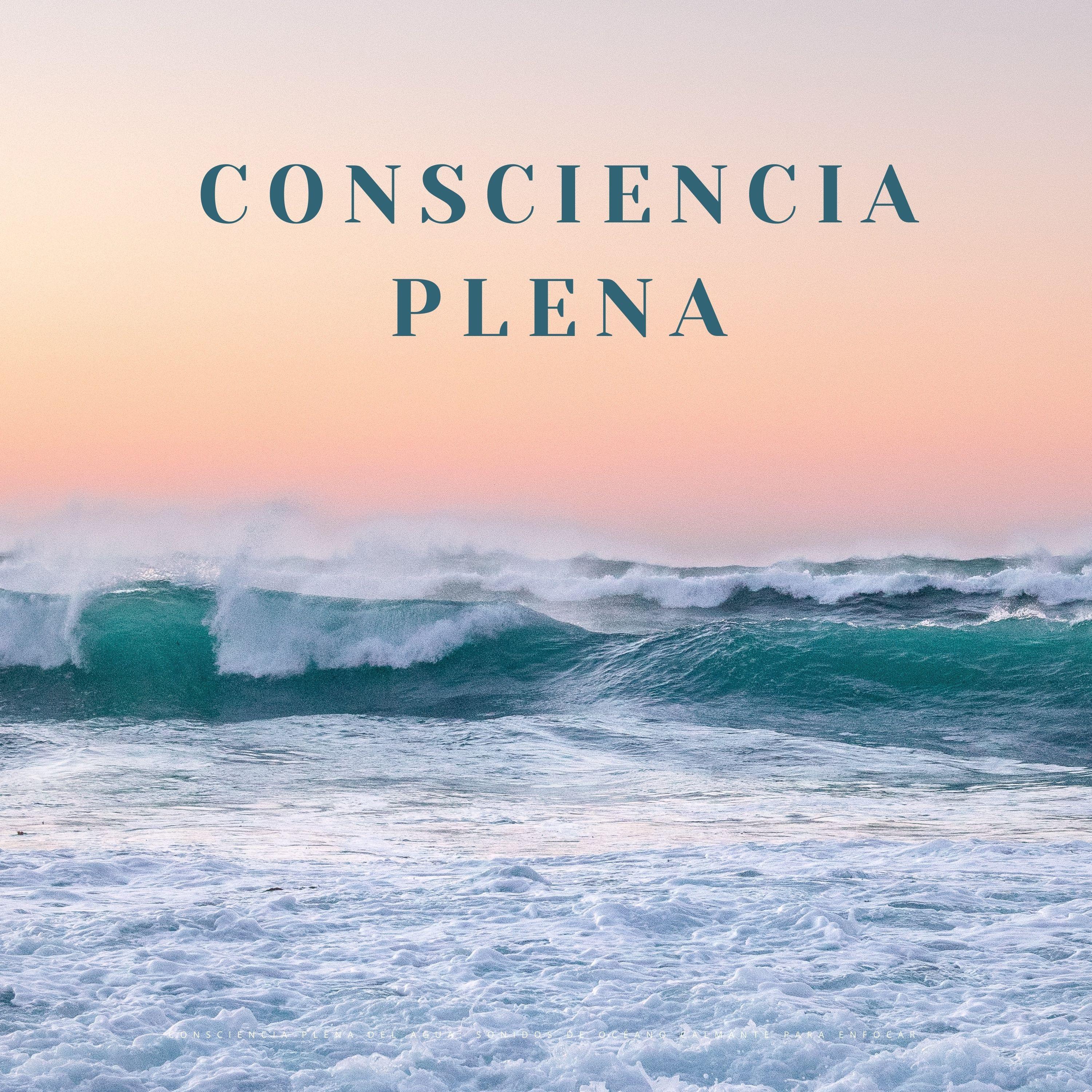 Silencio Costero_Hacedores de océanos_Consciencia Plena Del Agua: Sonidos De Océano Calmante Para Enfocar | 在线播放_Silencio Costero歌词_Silencio Costero下载 | 网易云音乐