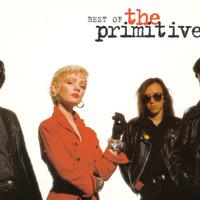 The Primitives