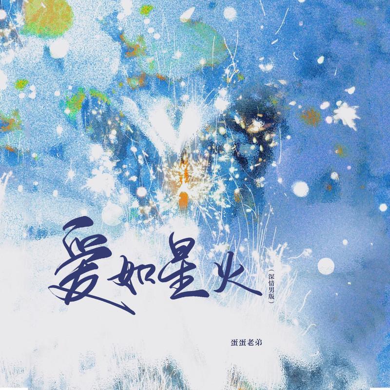 爱如星火 (DJ版)封面