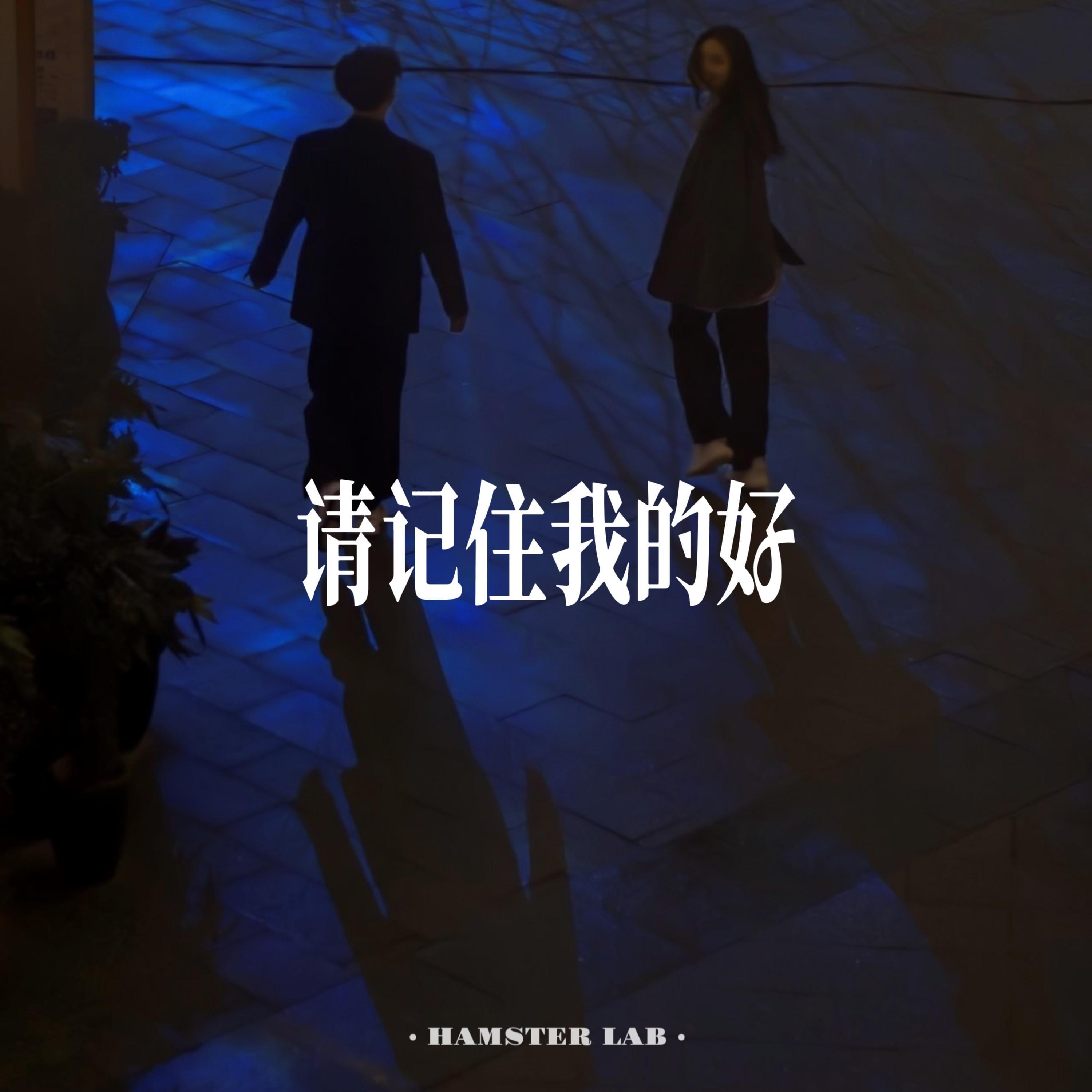 请记住我的好 - R&B氛围男声封面