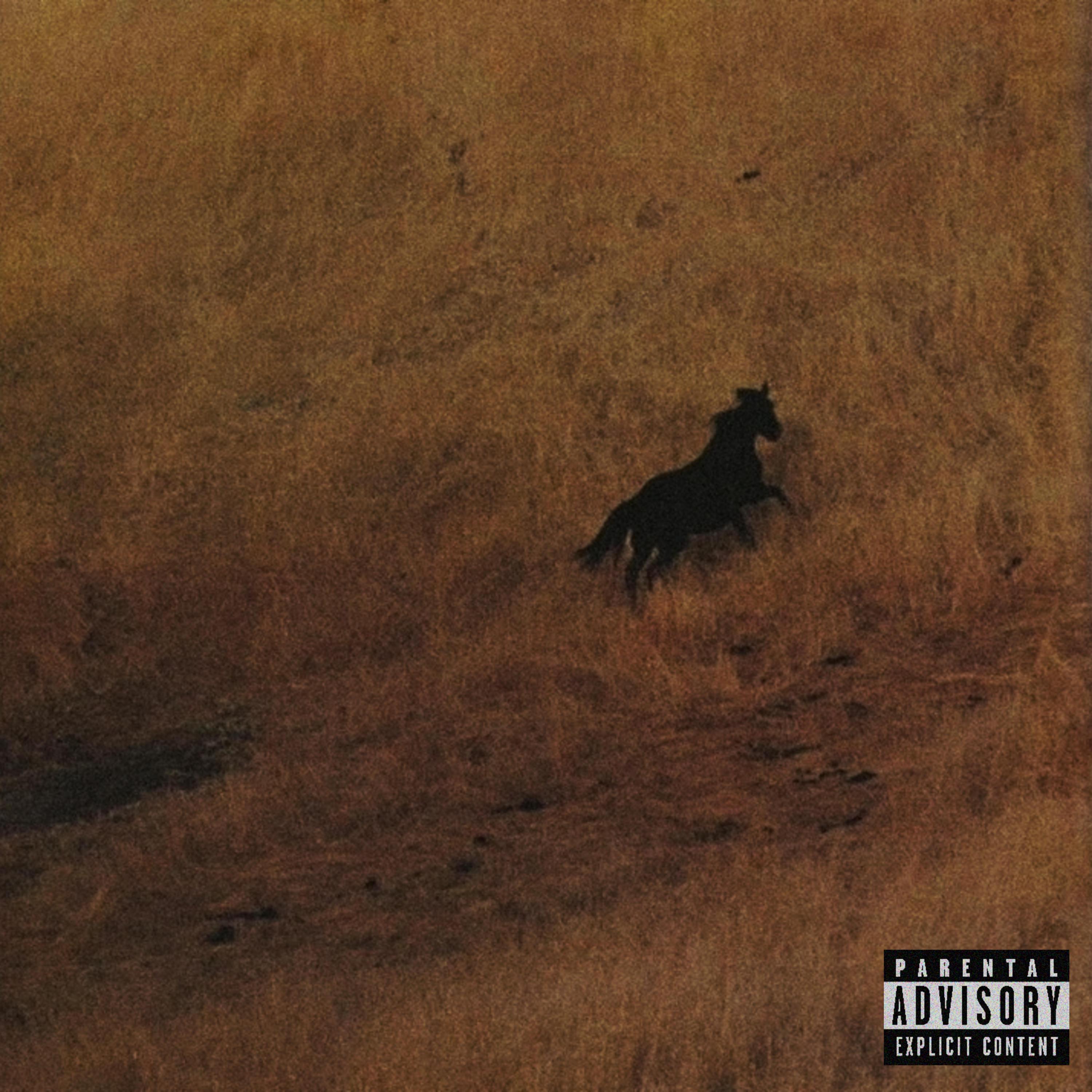 PURE COKE (feat. Lil McAdz)