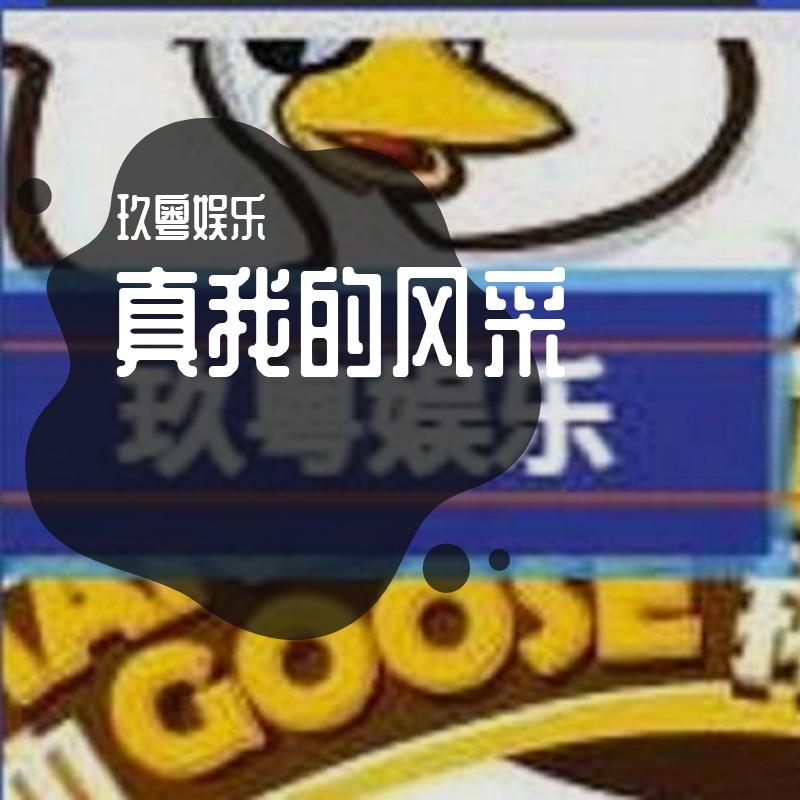 真我的风采封面