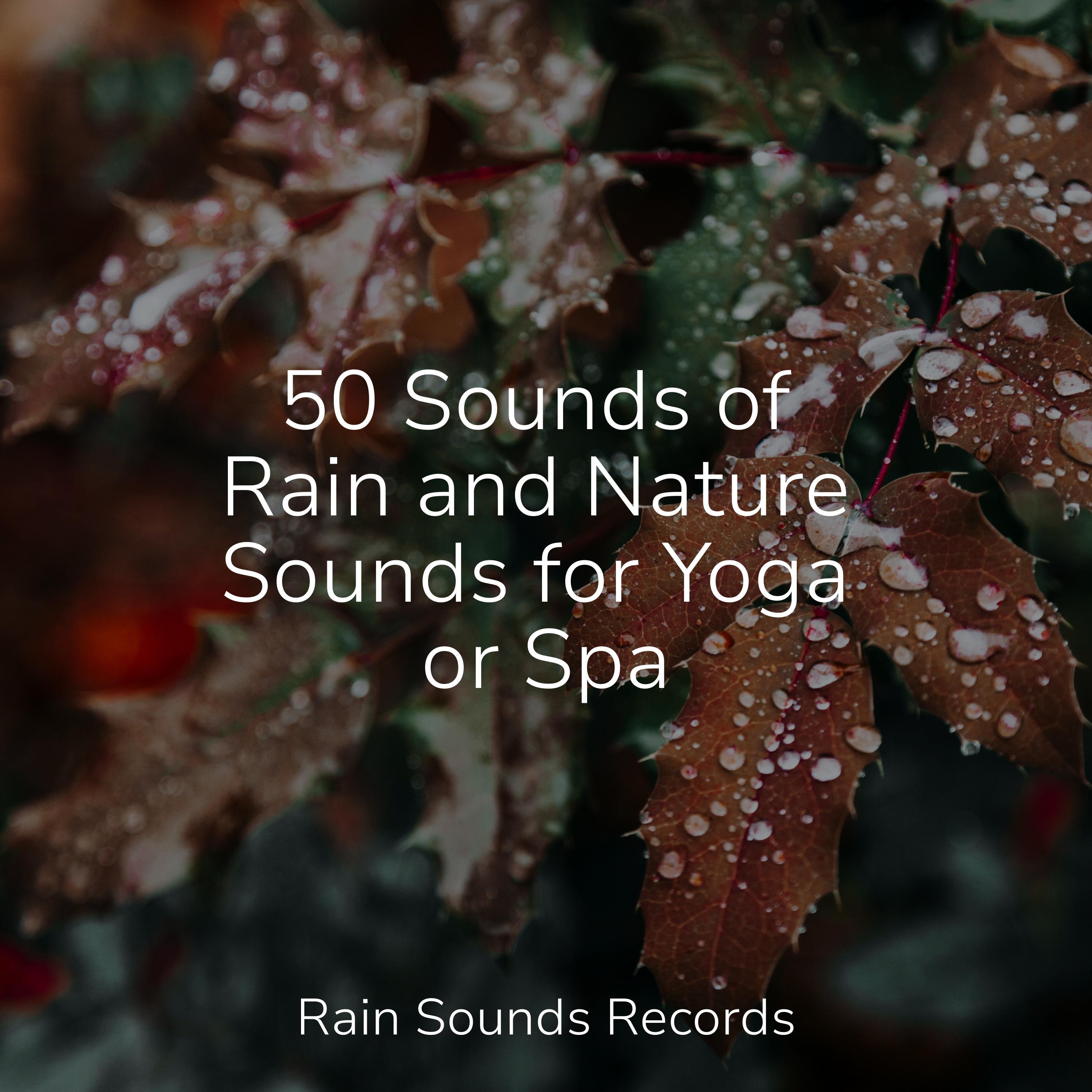 50 Sounds of Rain and Nature Sounds for Yoga or Spa - Binaural Beats ...