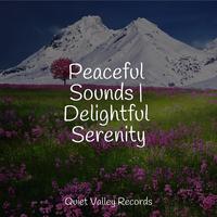 Peaceful Sounds | Delightful Serenity For Dogs