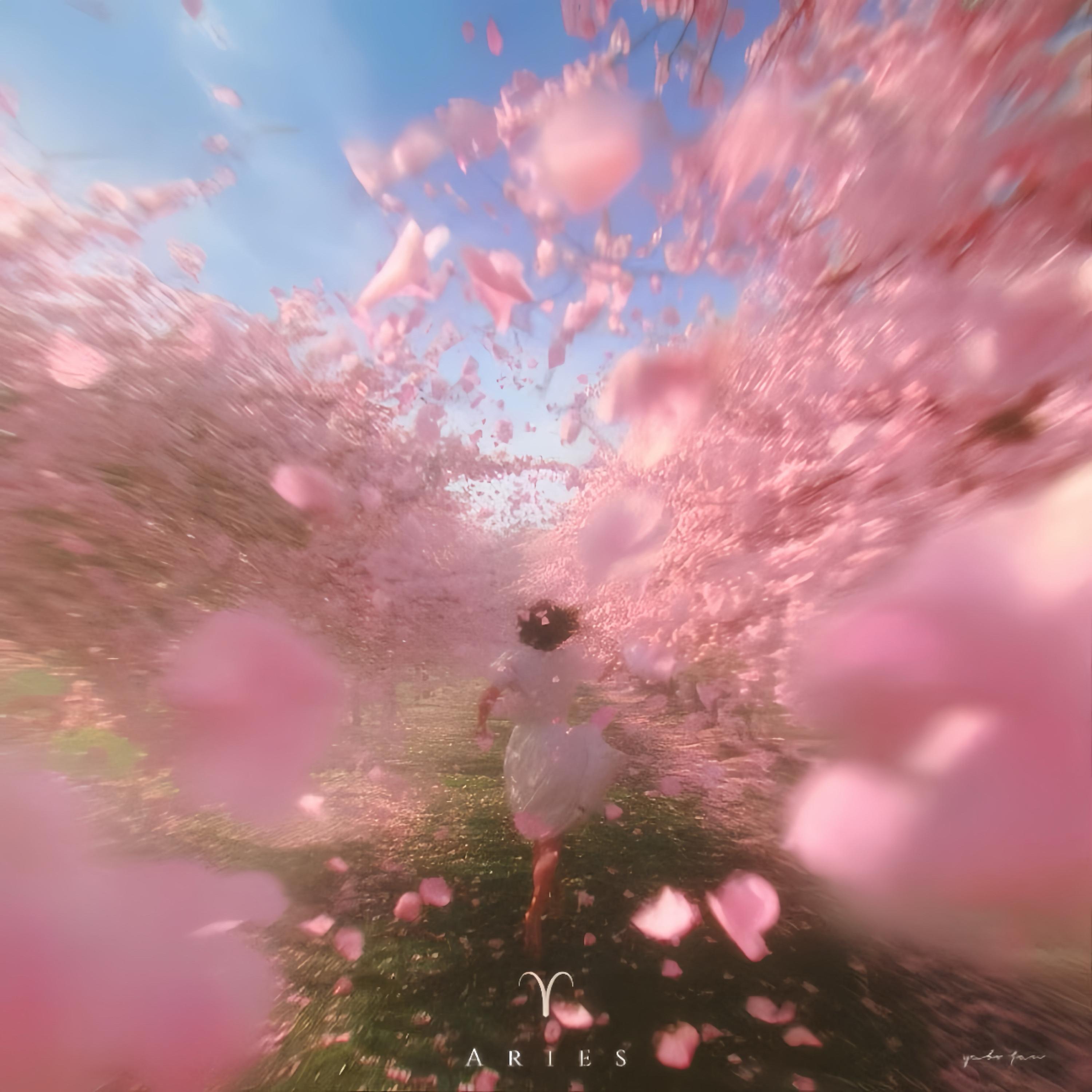 Aries（白羊座）