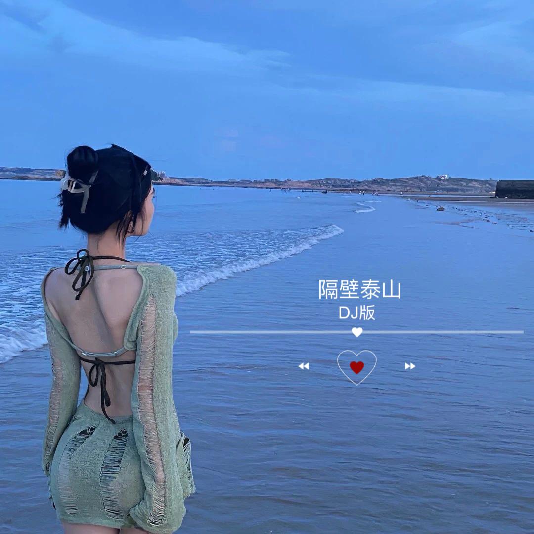 隔壁泰山 （dj版）封面