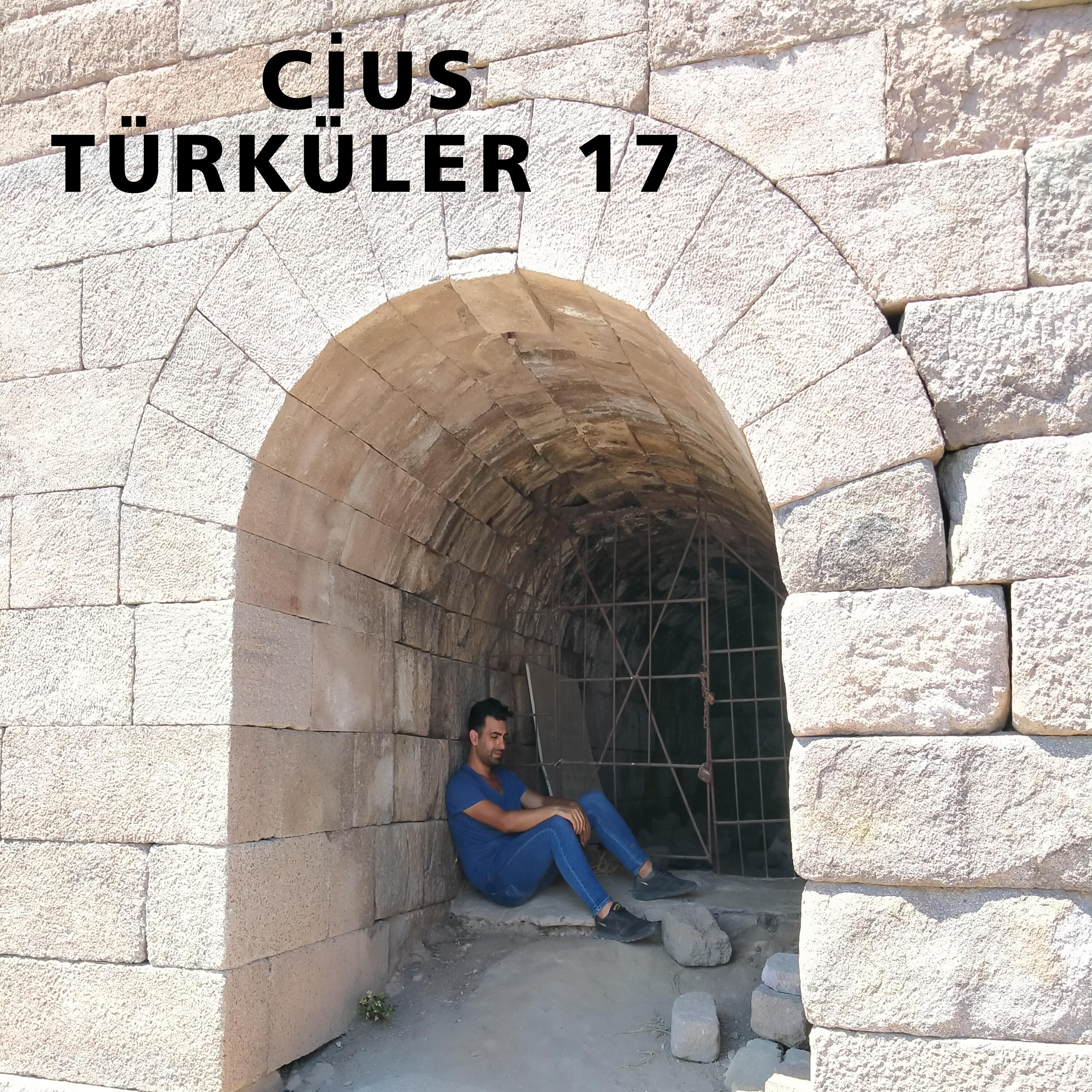 Ne De Güzel Kaşların Var