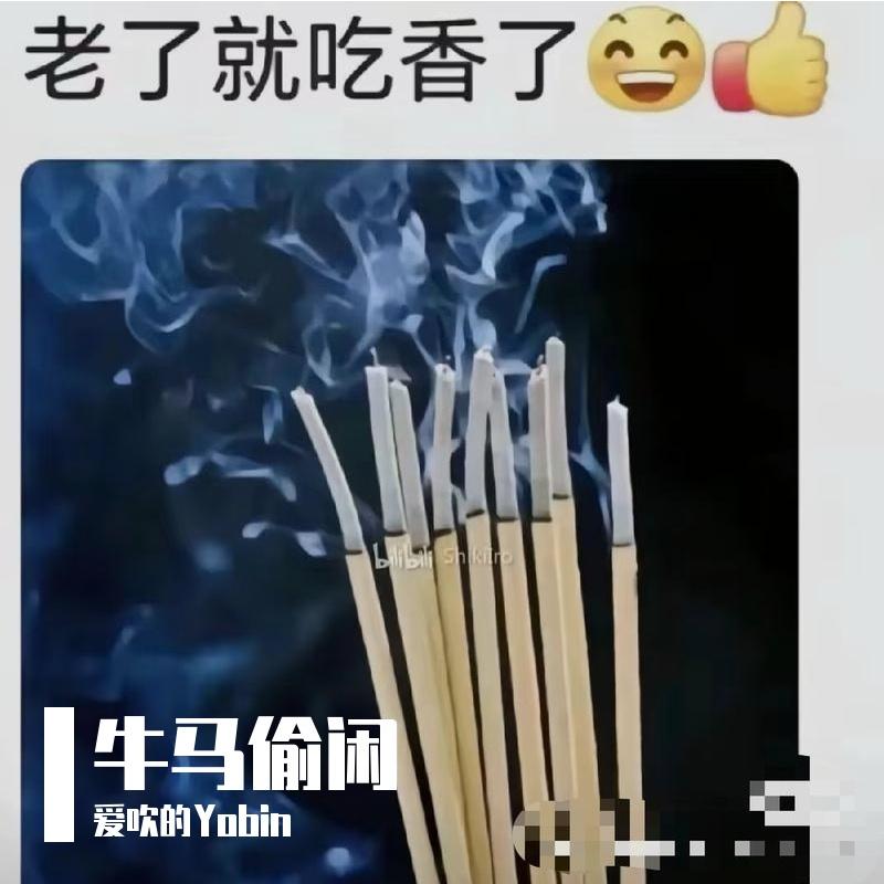 疯狂动物城2主题曲Zoo竹笛版封面