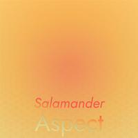 Salamander Aspect