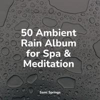 50 Ambient Rain Album for Spa & Meditation