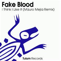 I Think I Like It (Mauro Mejia Sabroso Remix)