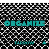 Organize