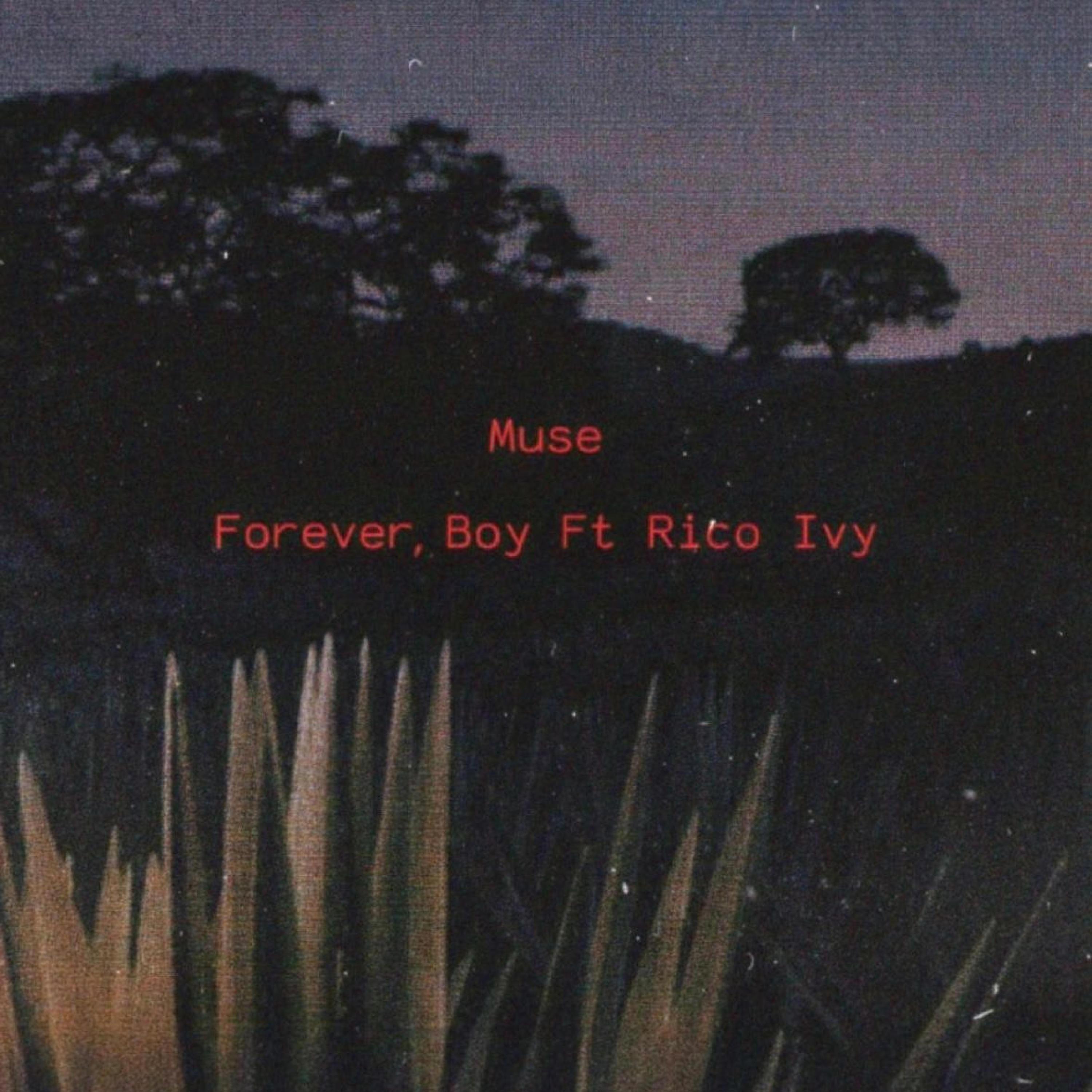 Muse (feat. Rico Ivy)