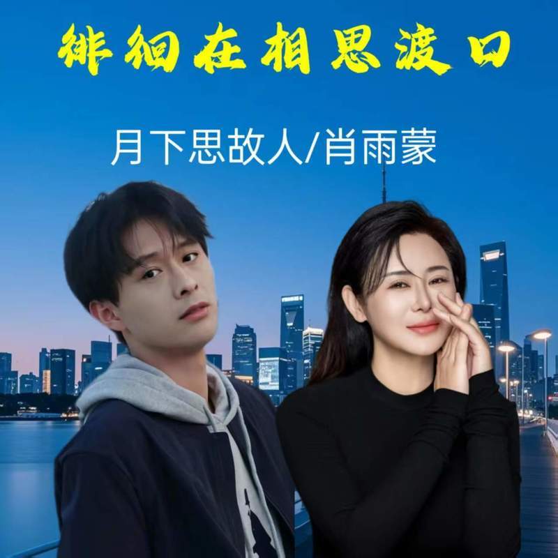 徘徊在相思渡口 (DJ对唱版)封面