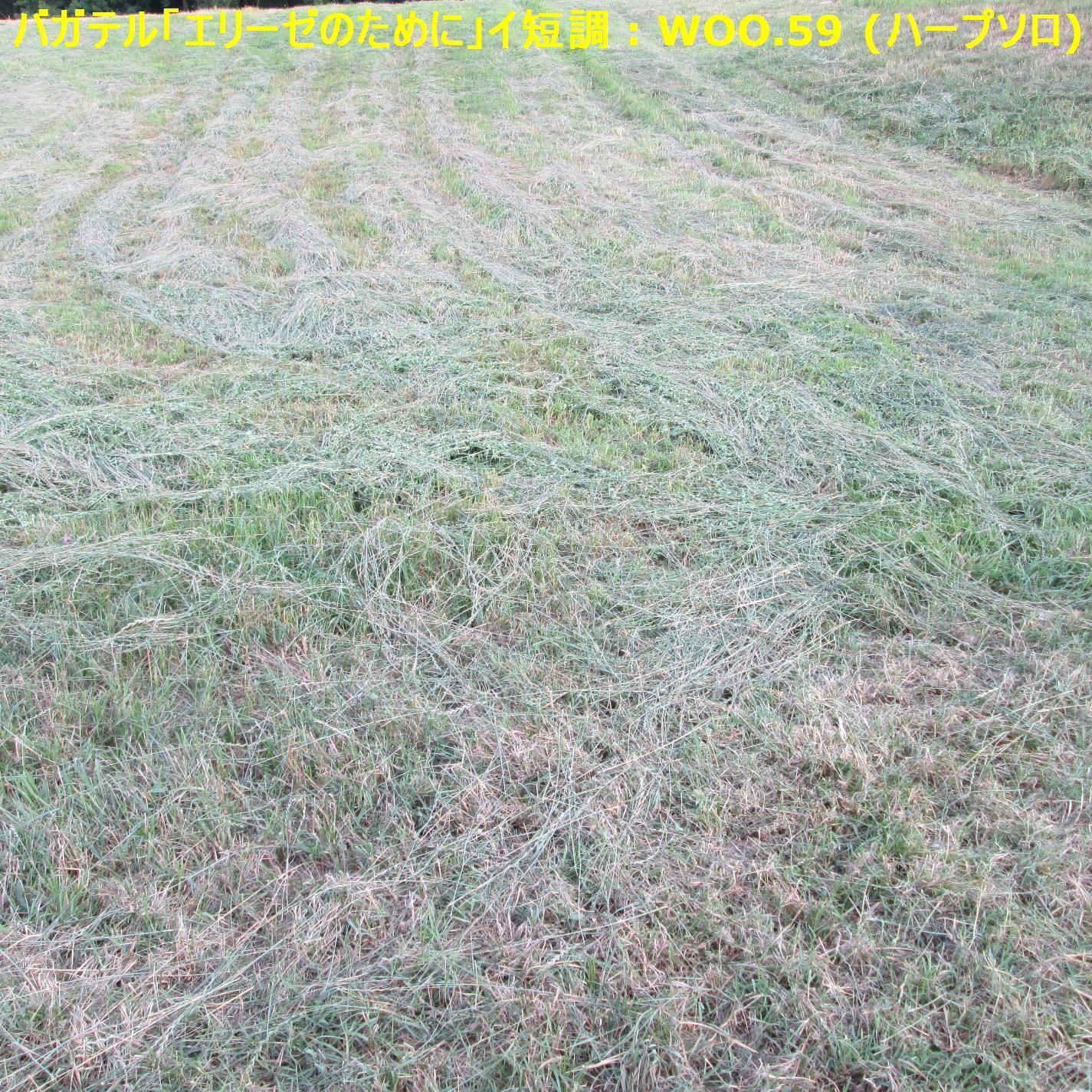 ????????????????? : WoO.59 (?????)