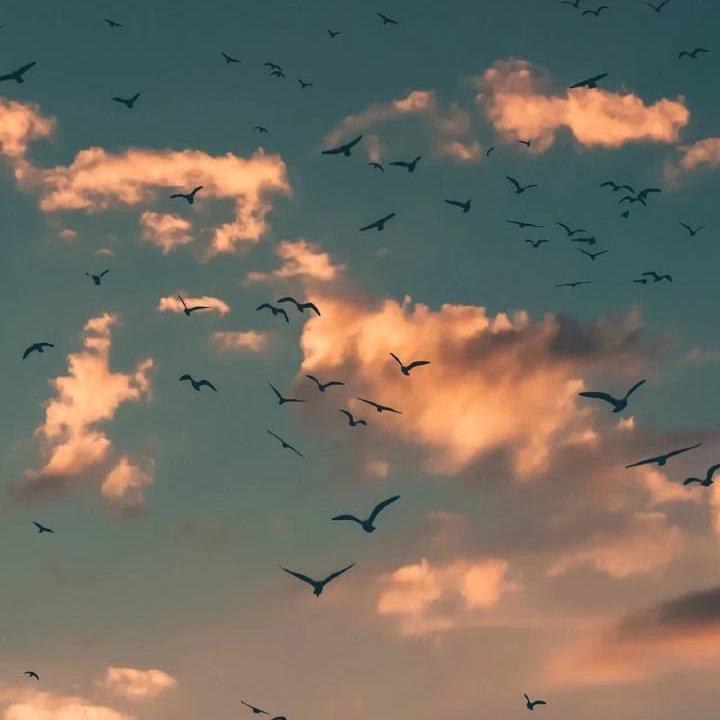 song-img