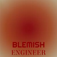 Blemish Engineer