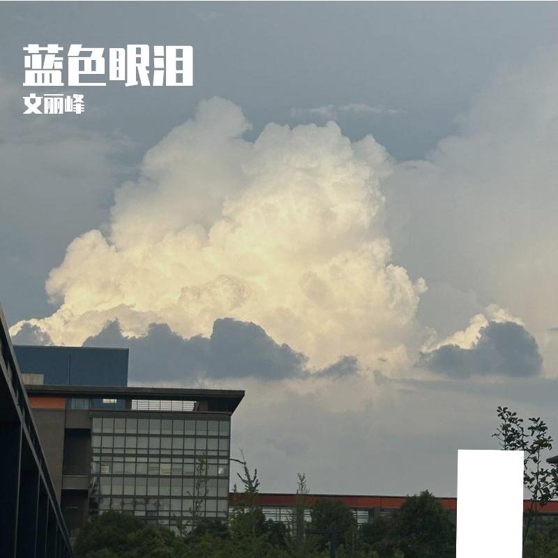 梦中星封面