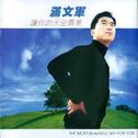 讲不出再见