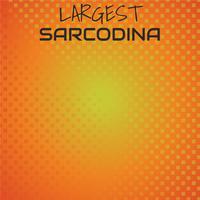 Largest Sarcodina