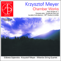 Krzysztof Meyer: Chamber Works