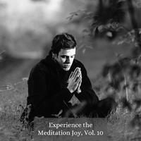 Experience the Meditation Joy, Vol. 10