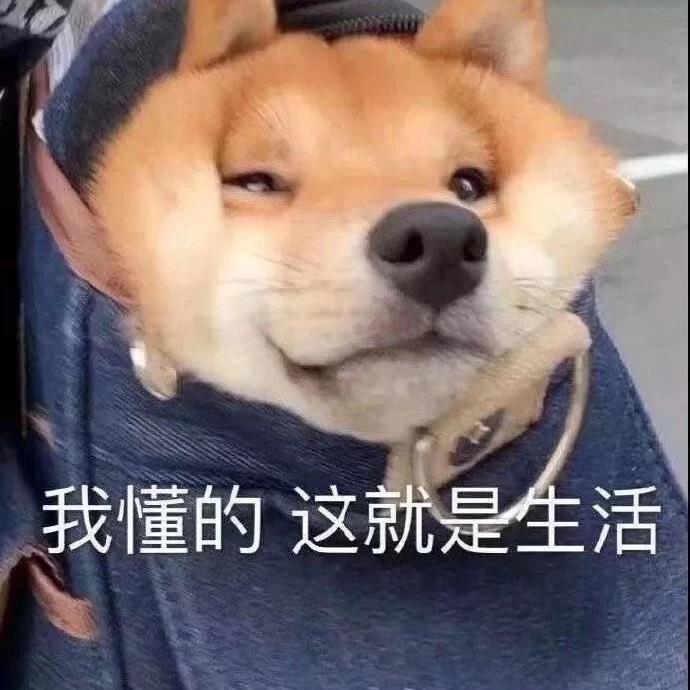 遇上爱封面