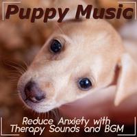 Puppy Music: Reduce Anxiety with Therapy Sounds and BGM