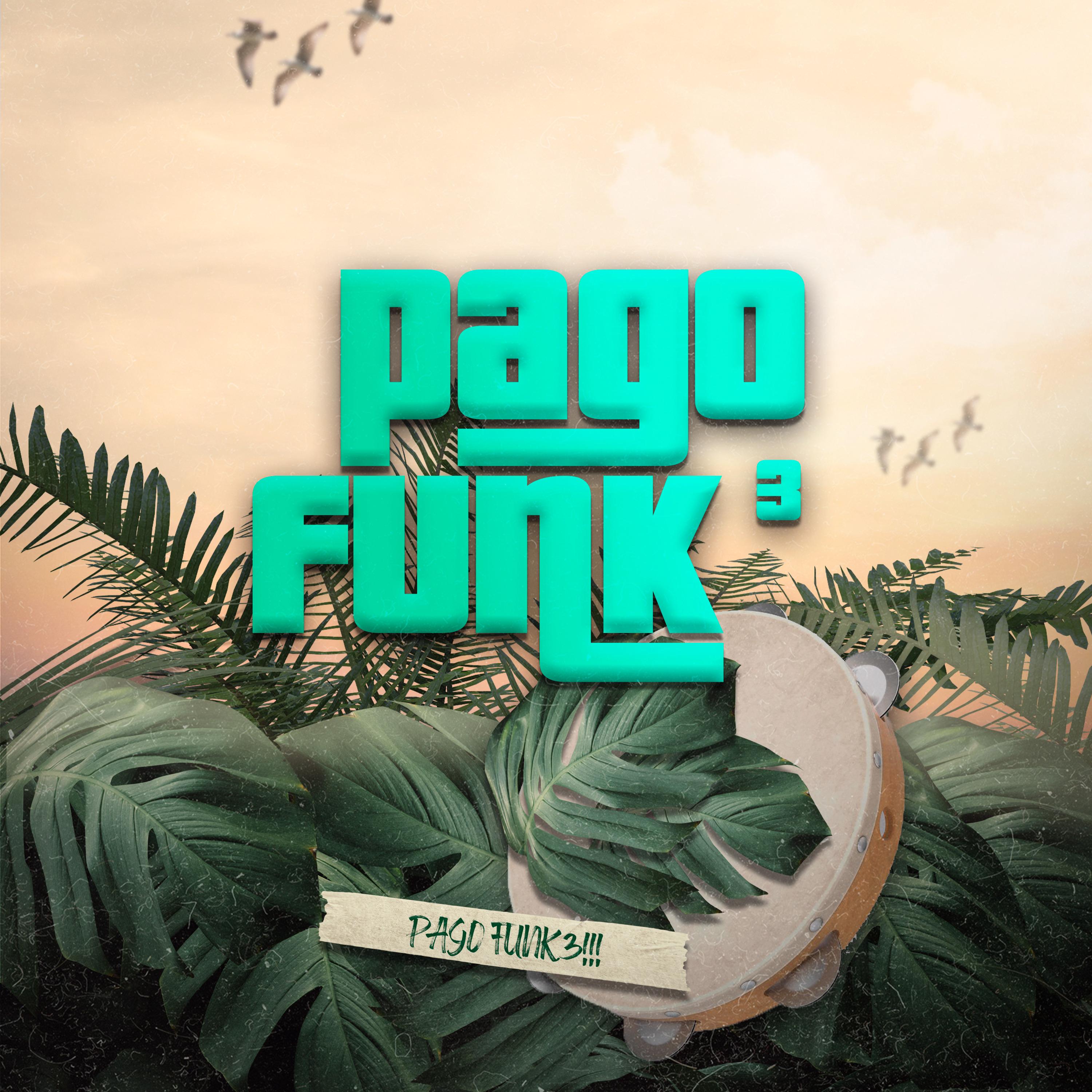 PAGO FUNK 3