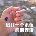 邀月醉孤影 (Remix)封面