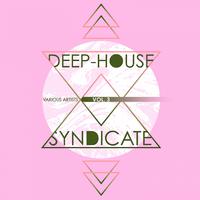 Deep-House Syndicate, Vol. 3