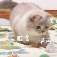 YY现场录音