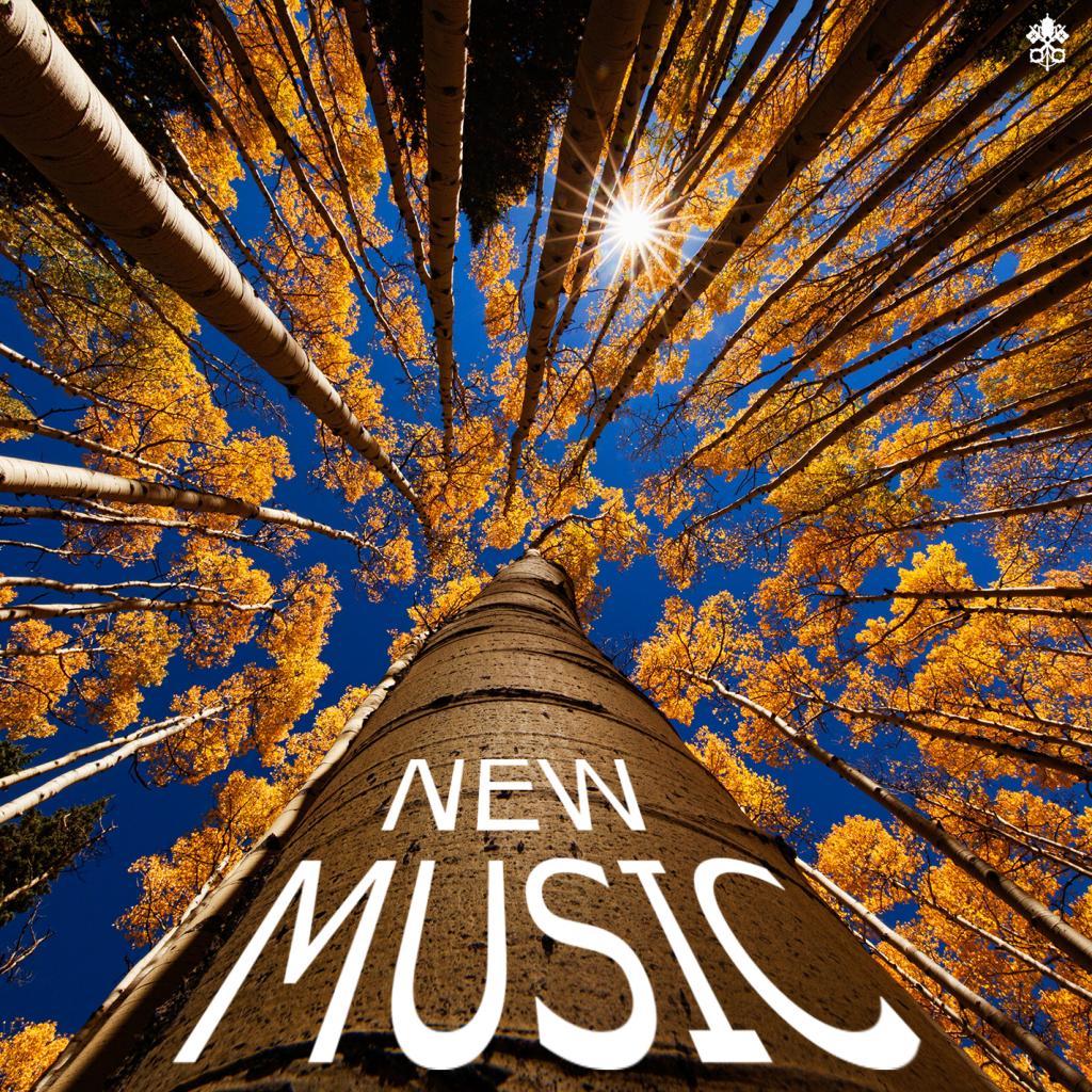 I Have to Say Goodbye (feat. Sélia)