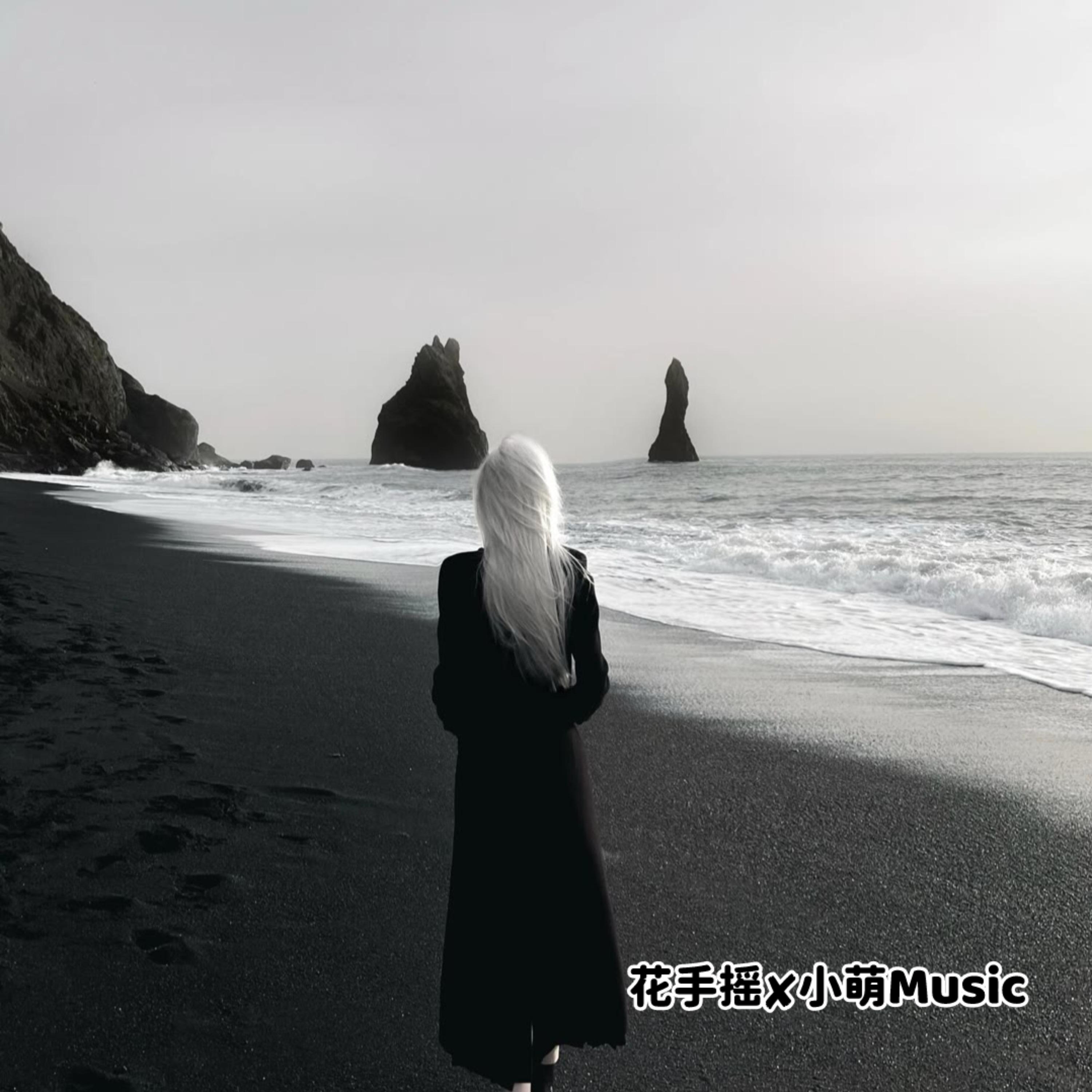 花手摇 (DJ版)封面