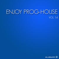 Enjoy Prog-House, Vol. 14