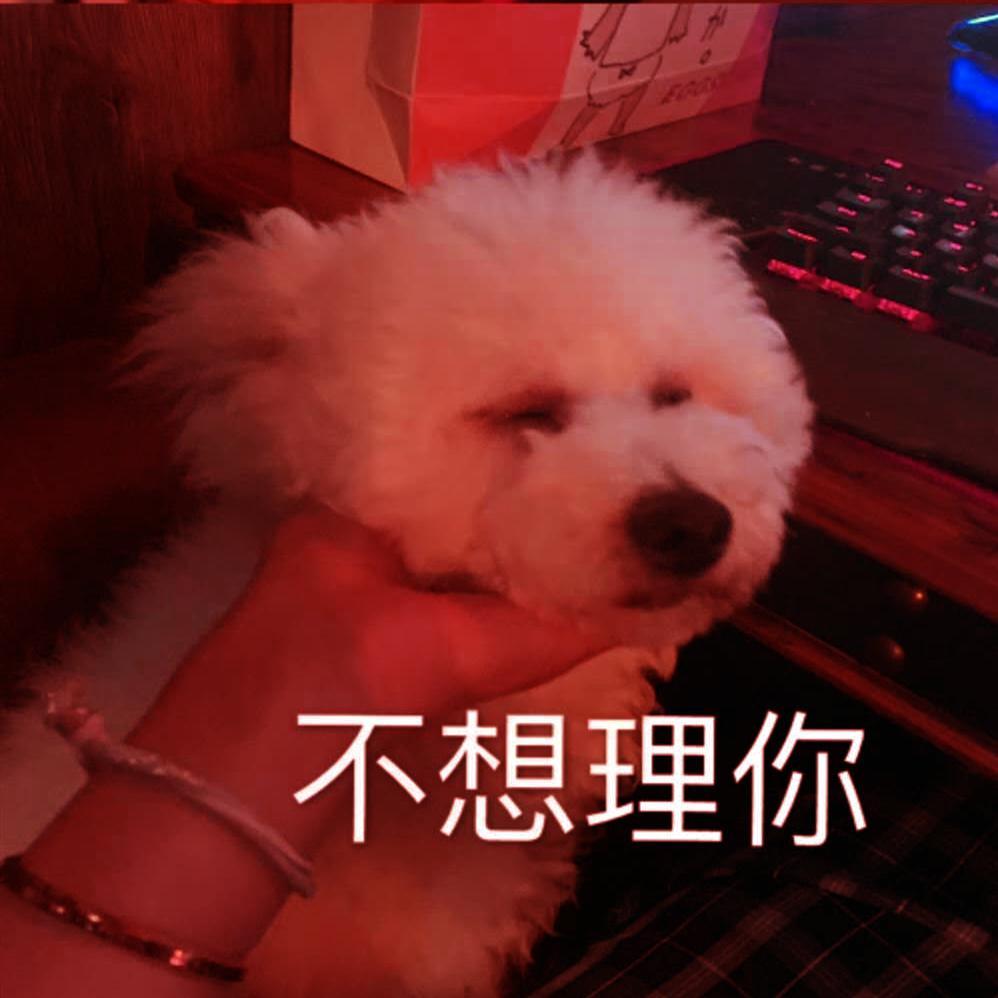 你不知道我为什么不想唱了