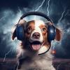 Music For Dogs Peace - Calming Dogs Thunder Echo