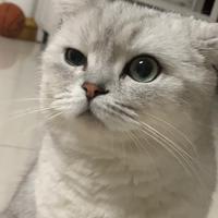 cry1nB