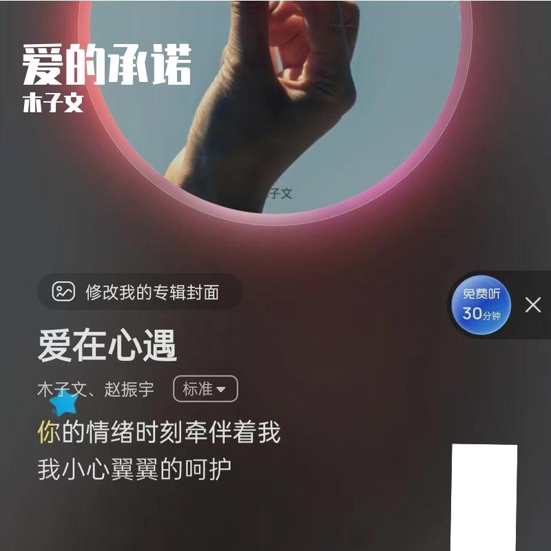 一曲相思断情愁 - 林洋、小武封面