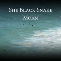 She Black Snake Moan