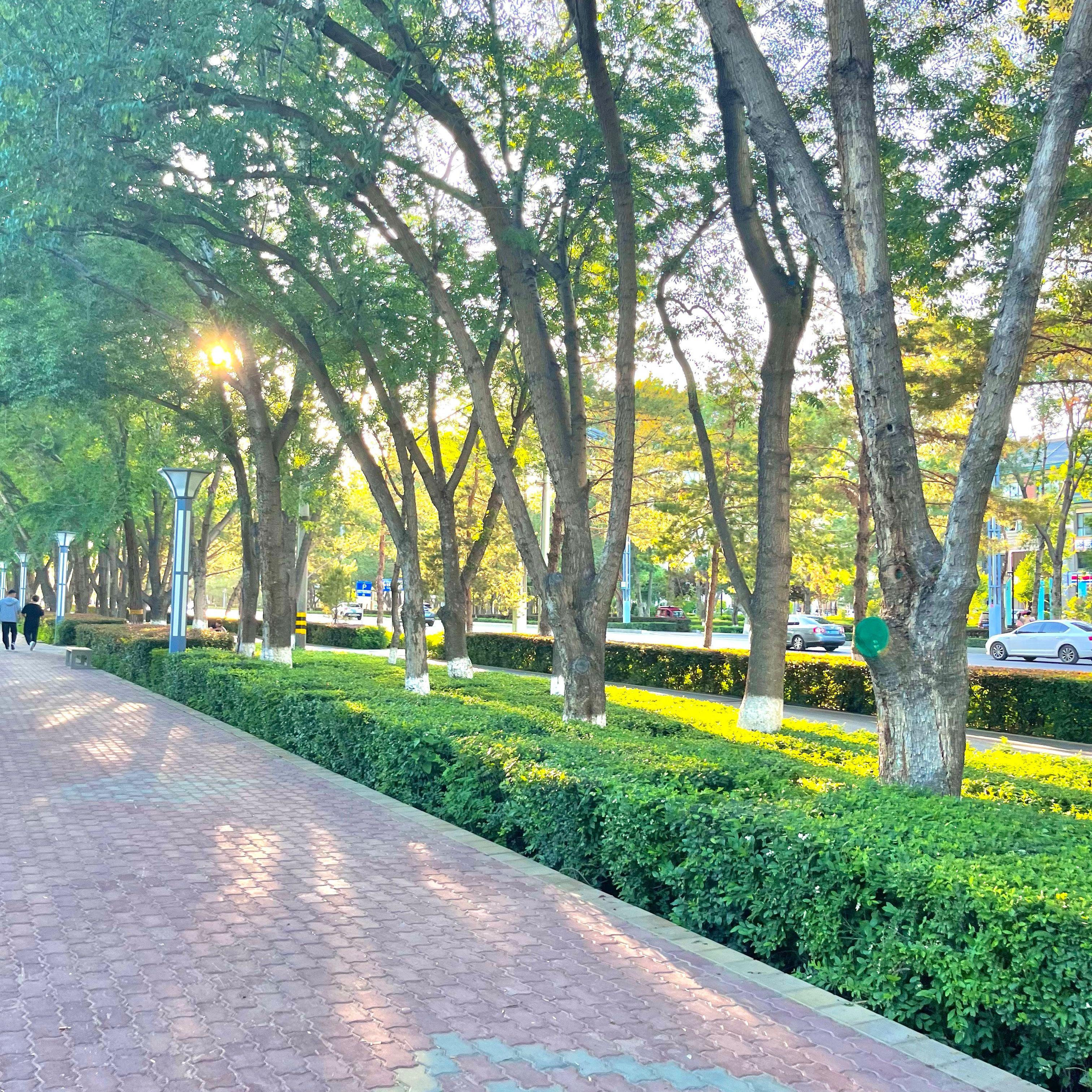 Duxmanlirim bilmisun原创版