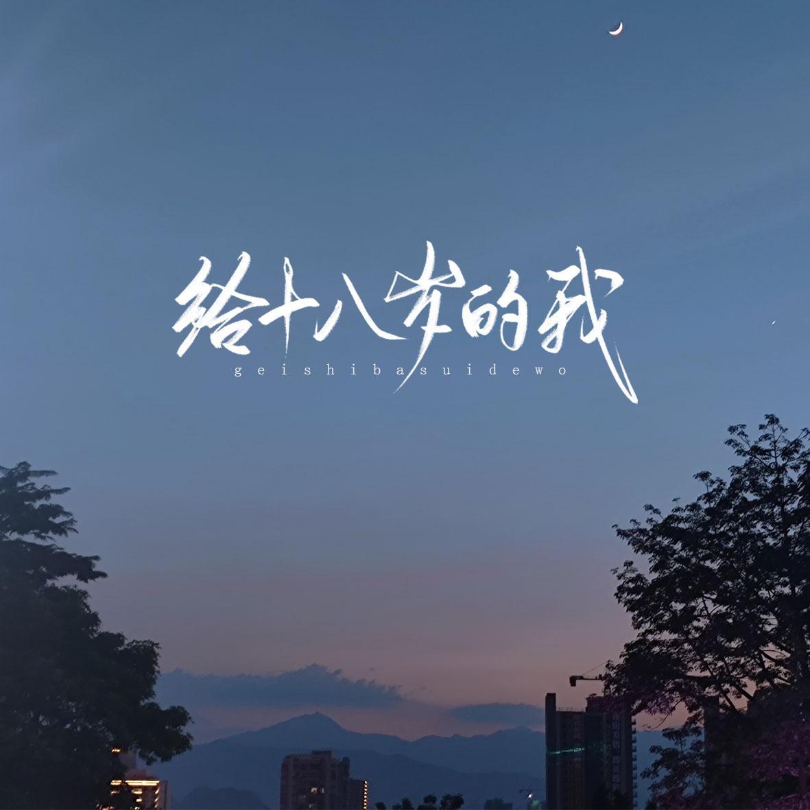 给十八岁的我封面