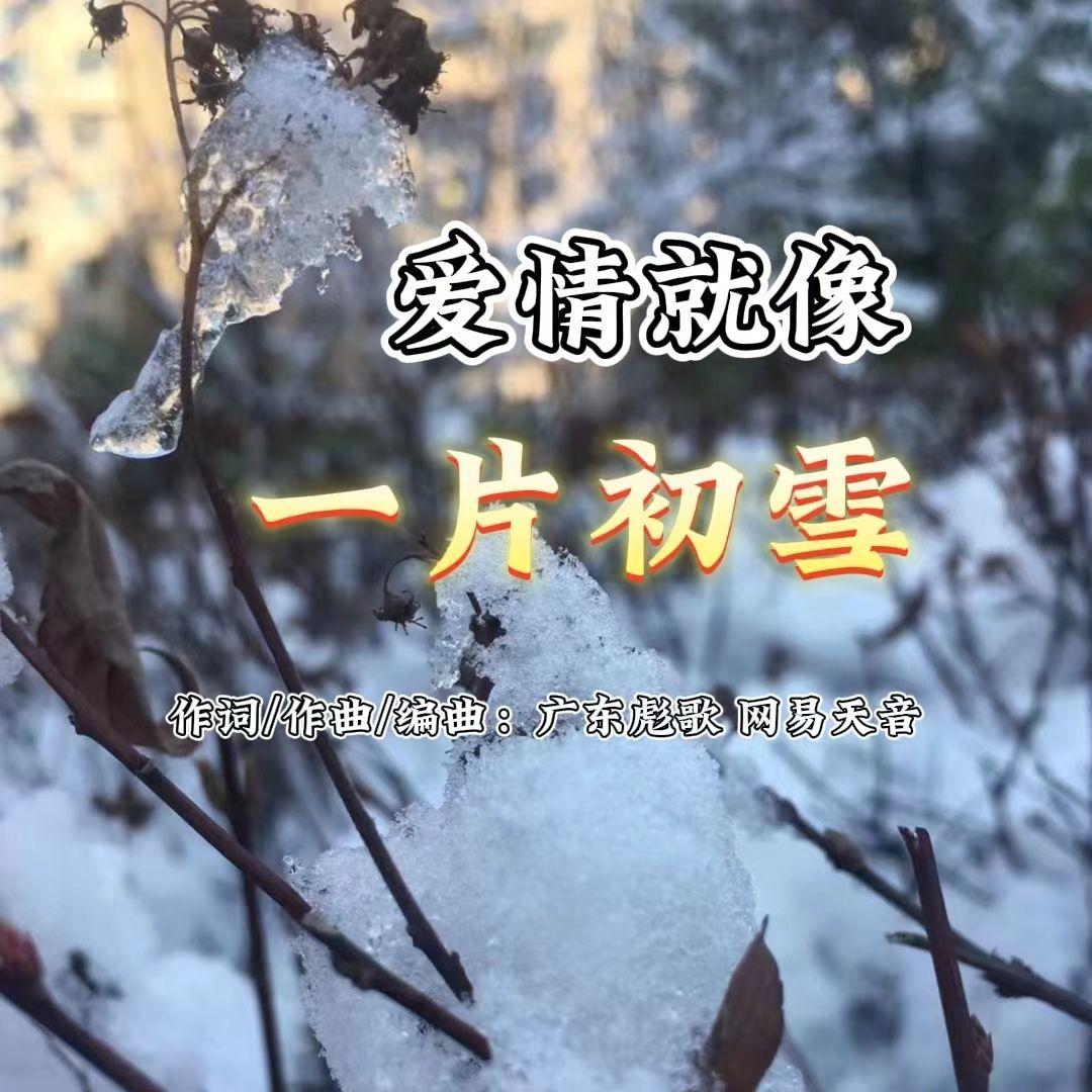 爱情就像一片初雪封面