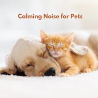 Calming Noise for Pets