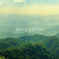 Brave Nature (Listen to Nature, Opening the Mind, Beautiful Sounds of Forest, Birds, Waves)