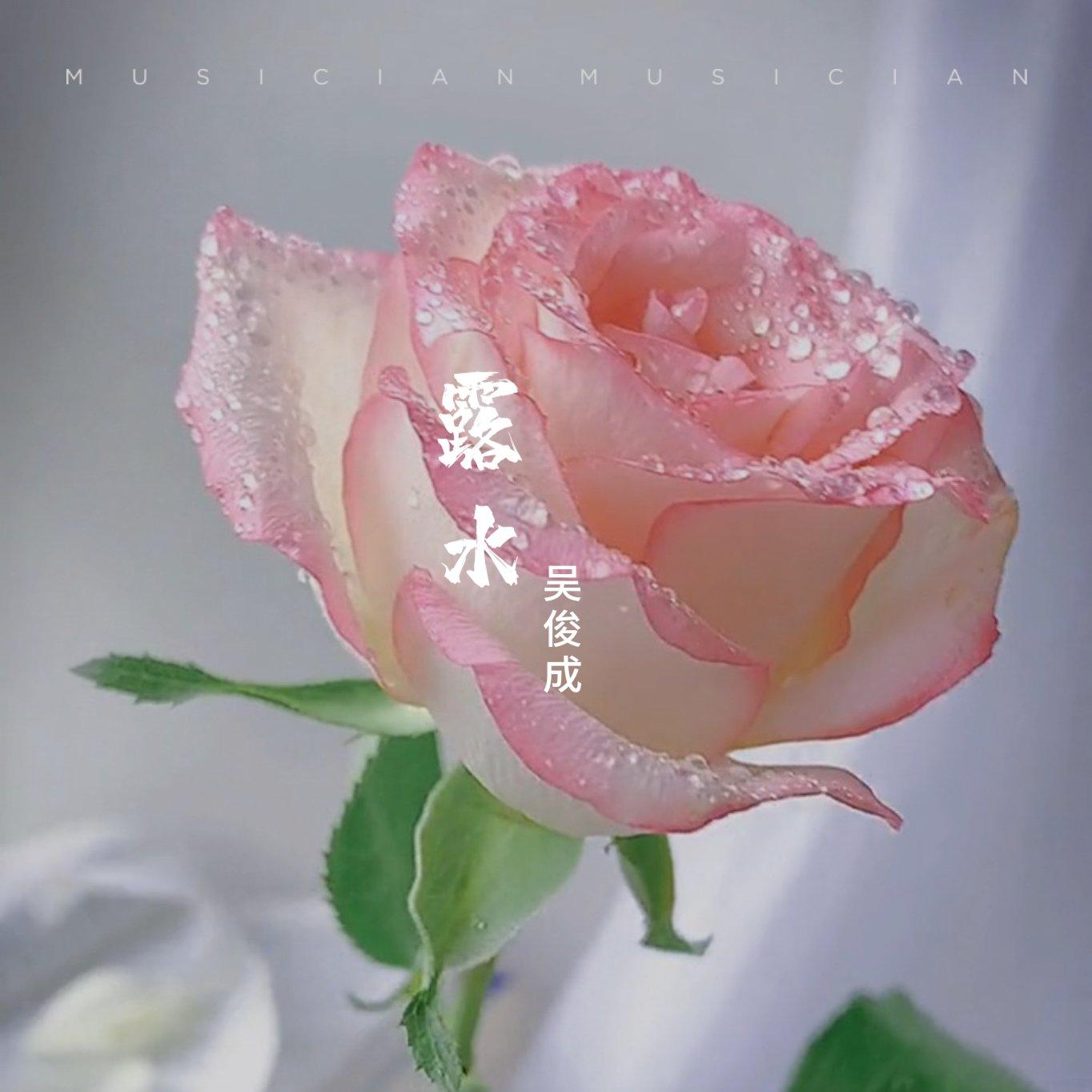 蕾丝花边 - 吴俊成封面