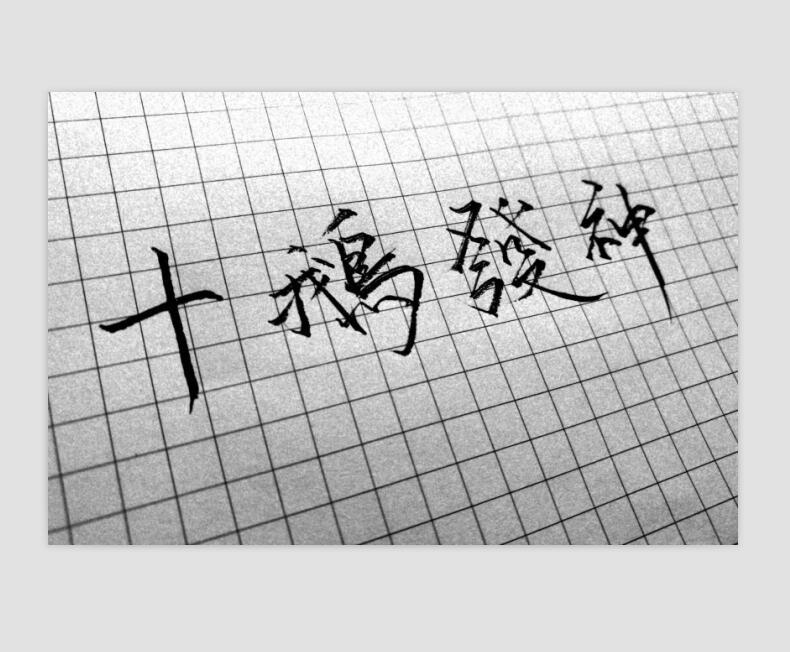 荼蘼白首(花事了·四月荼蘼)封面